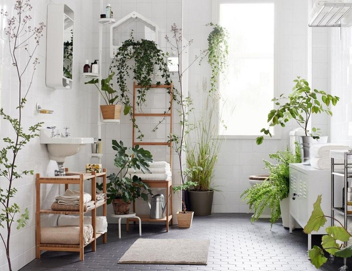 Комнатные Растения В Дизайне Интерьера Квартиры