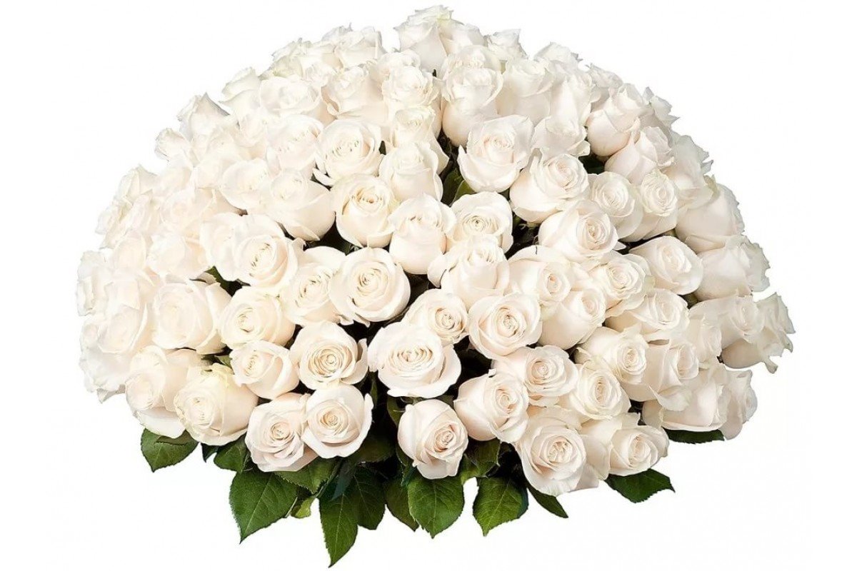 С Днем Рождения Белые Цветы Поздравления