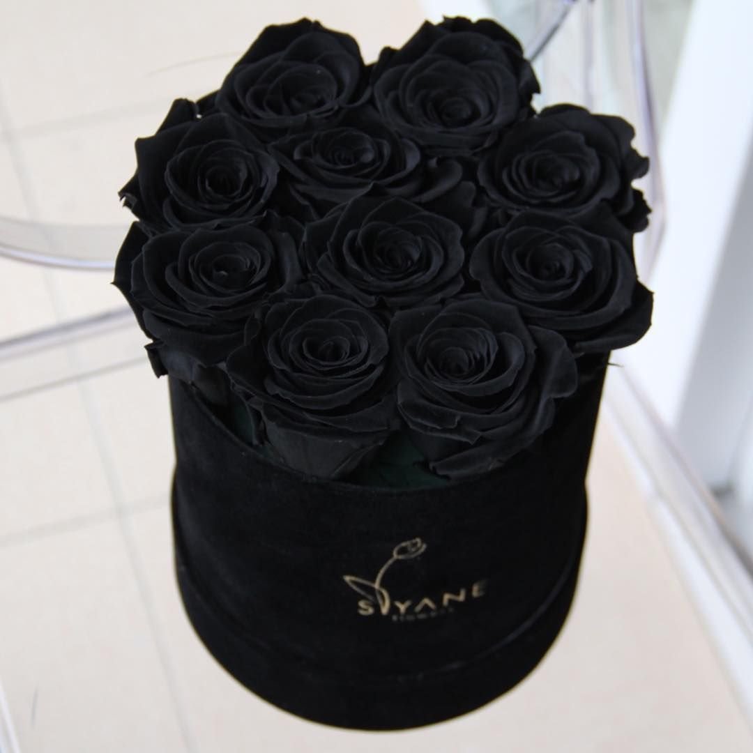 Где Можно Купить Черные Розы