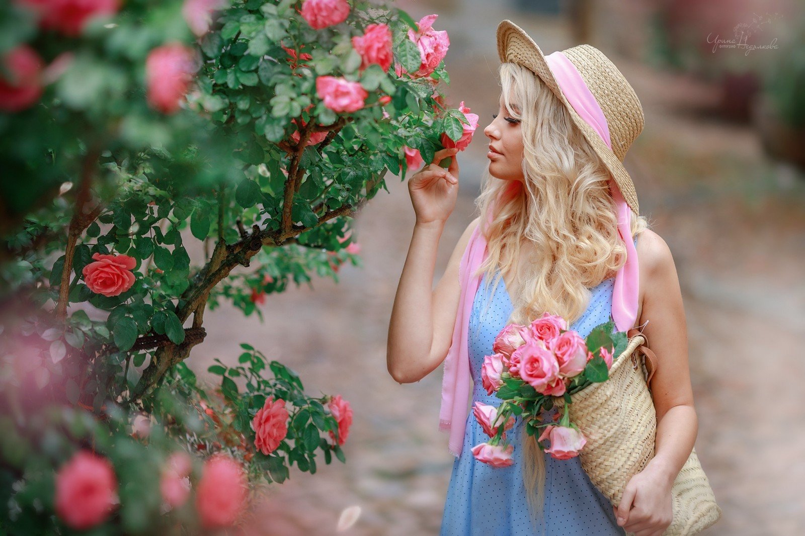 Красотка Milla позирует в шезлонге под кустом розы