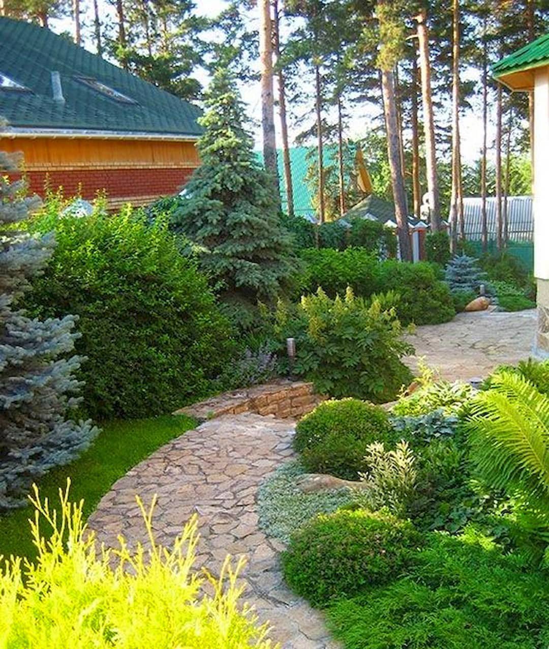 Хвойный Сад В Ландшафтном Дизайне Фото