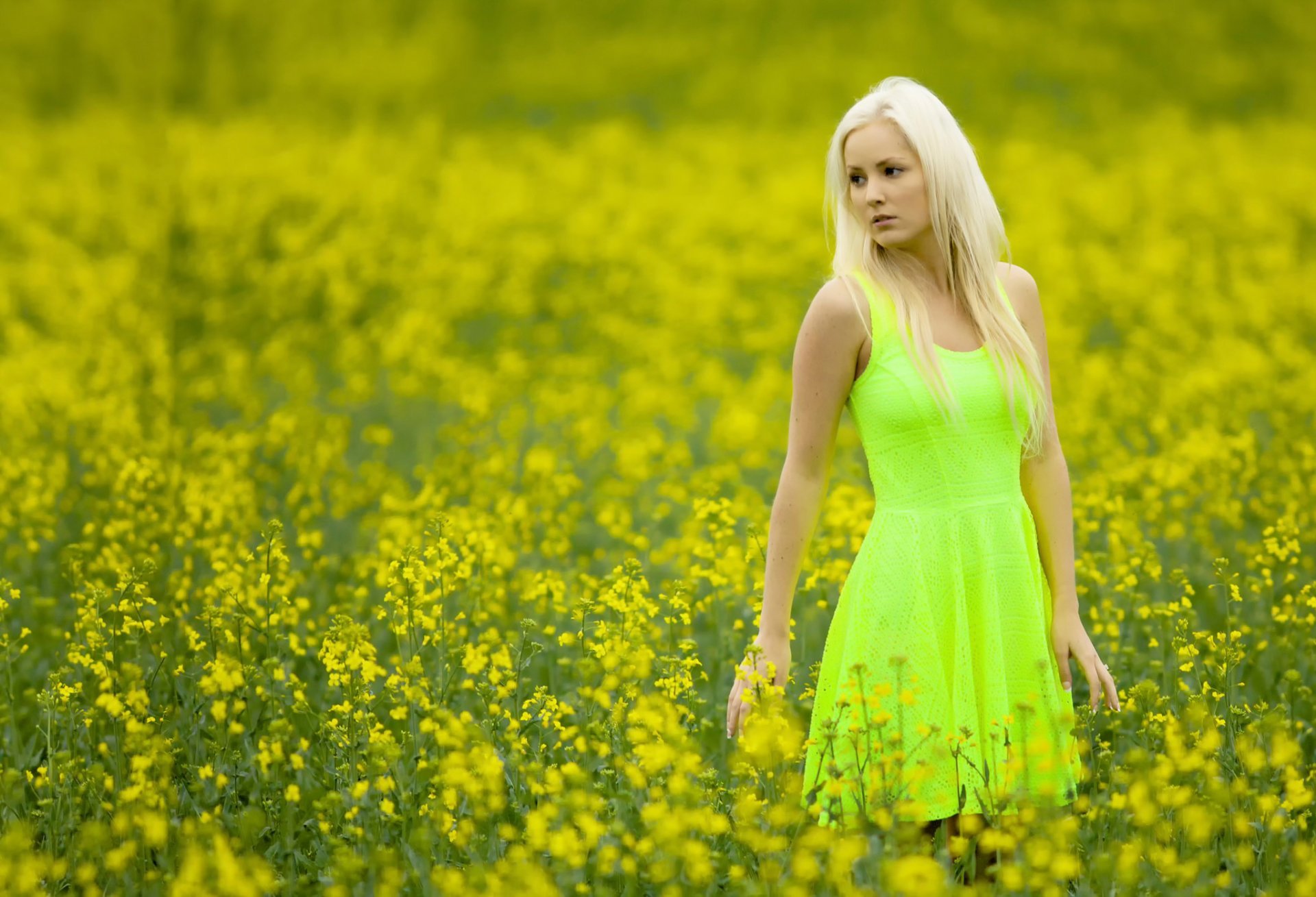 Фото молодой блондинки в коротком зеленом платье