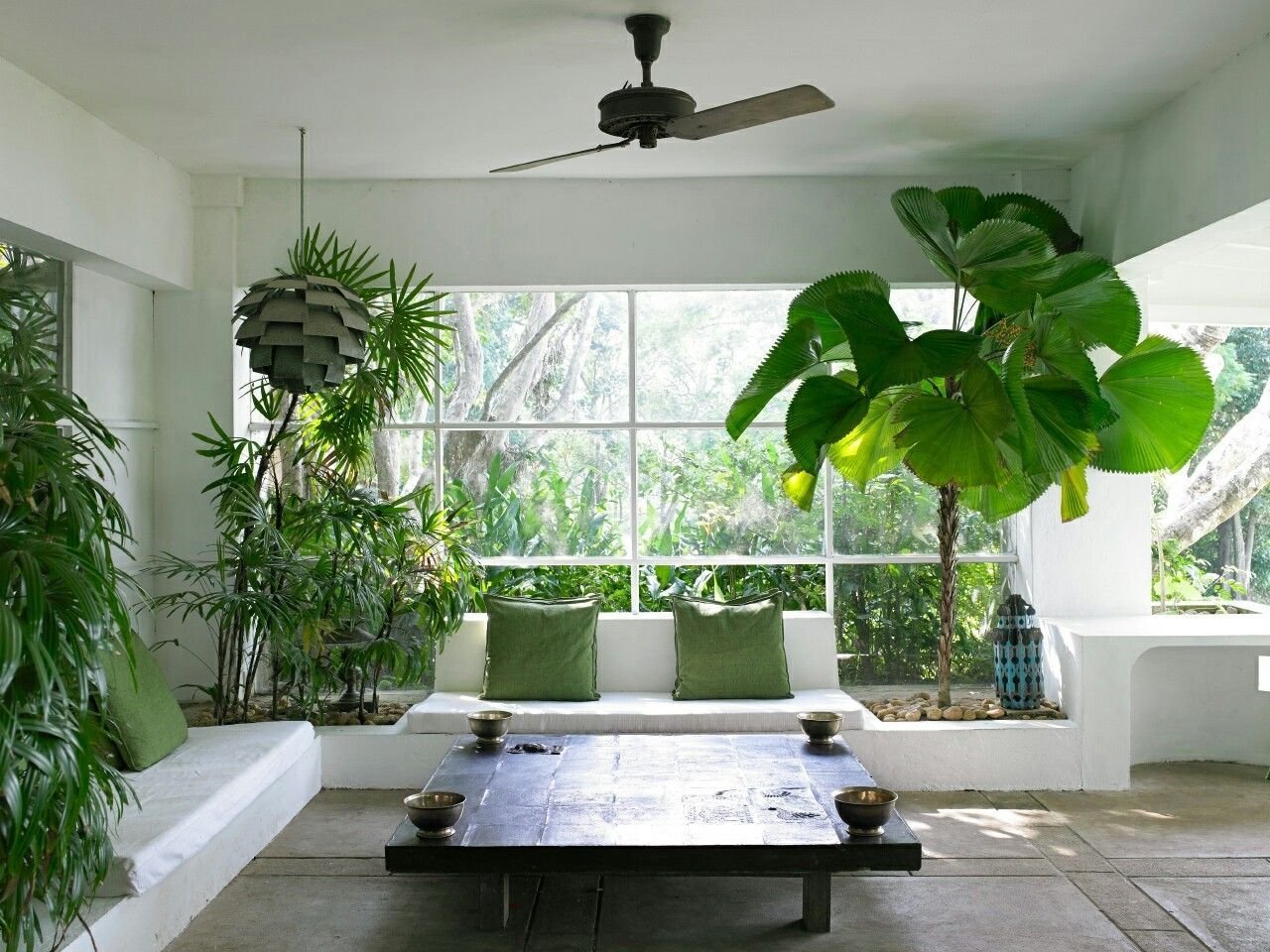 Комнатными Растениями В Квартире Фото