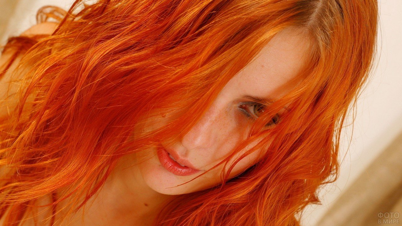 Рыжие волосы на пизденке фото