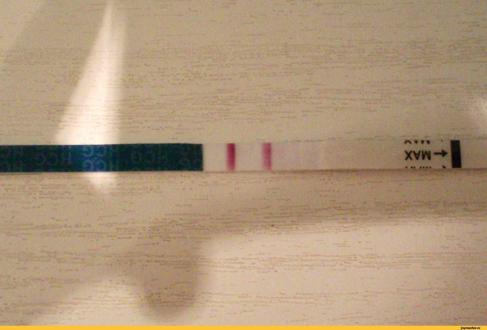 Тест на беременность на столе. Тест на беременность 2 poloska. Тест на беременность с 2 тест полосками. Тест на беременность 2 полоски фото. Тест на беременность 2 полосочки.