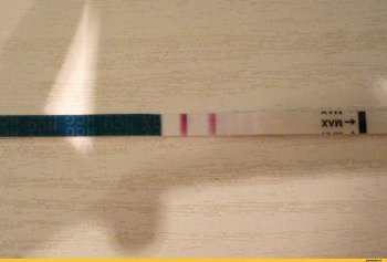 Какие бывают виды тестов на беременность?