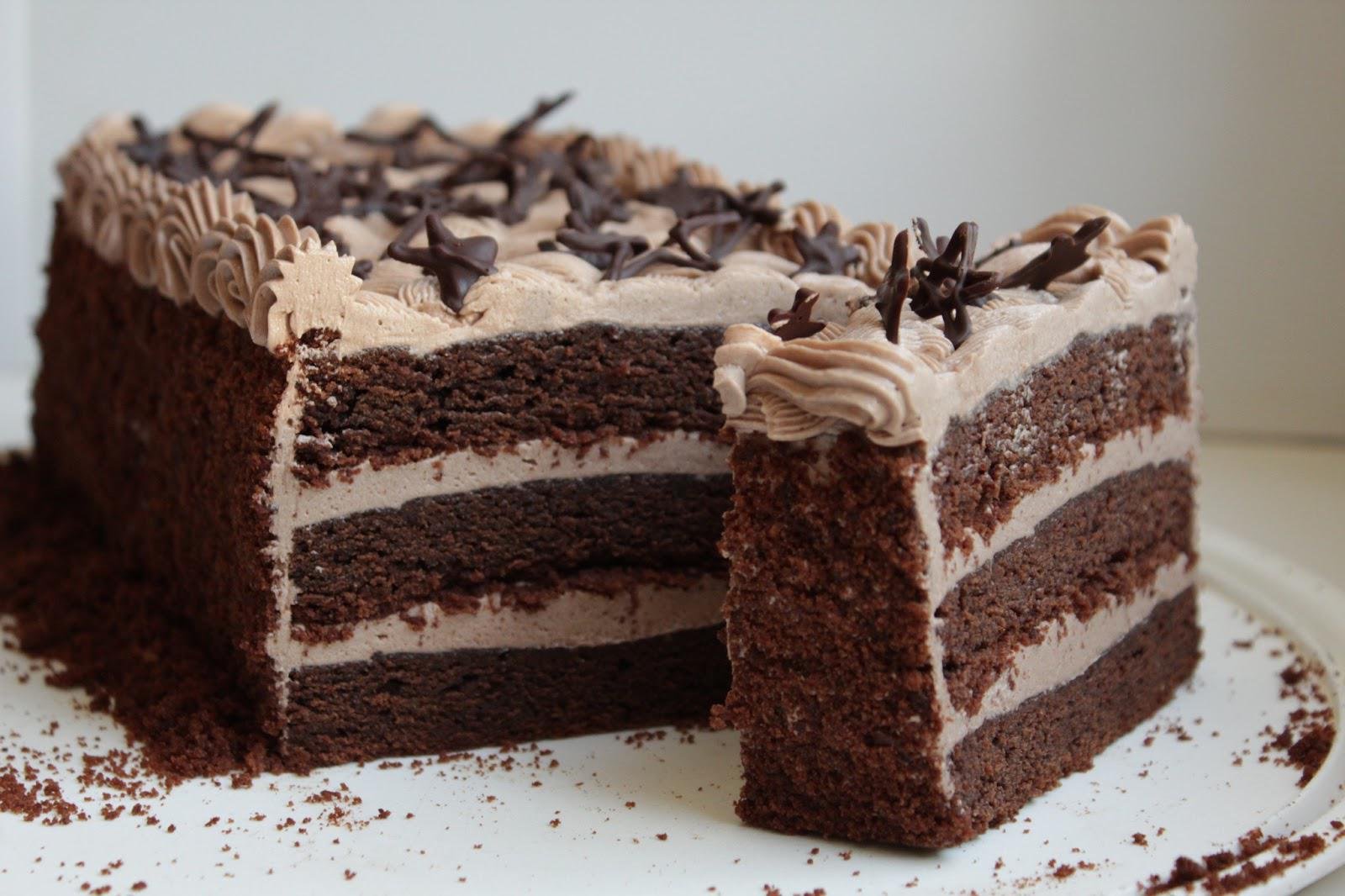 Воздушный шоколадный бисквит. Шоколадный торт. Бисквитный торт. Бисквитный торт с шоколадным кремом. Шоколадно сливочный торт.