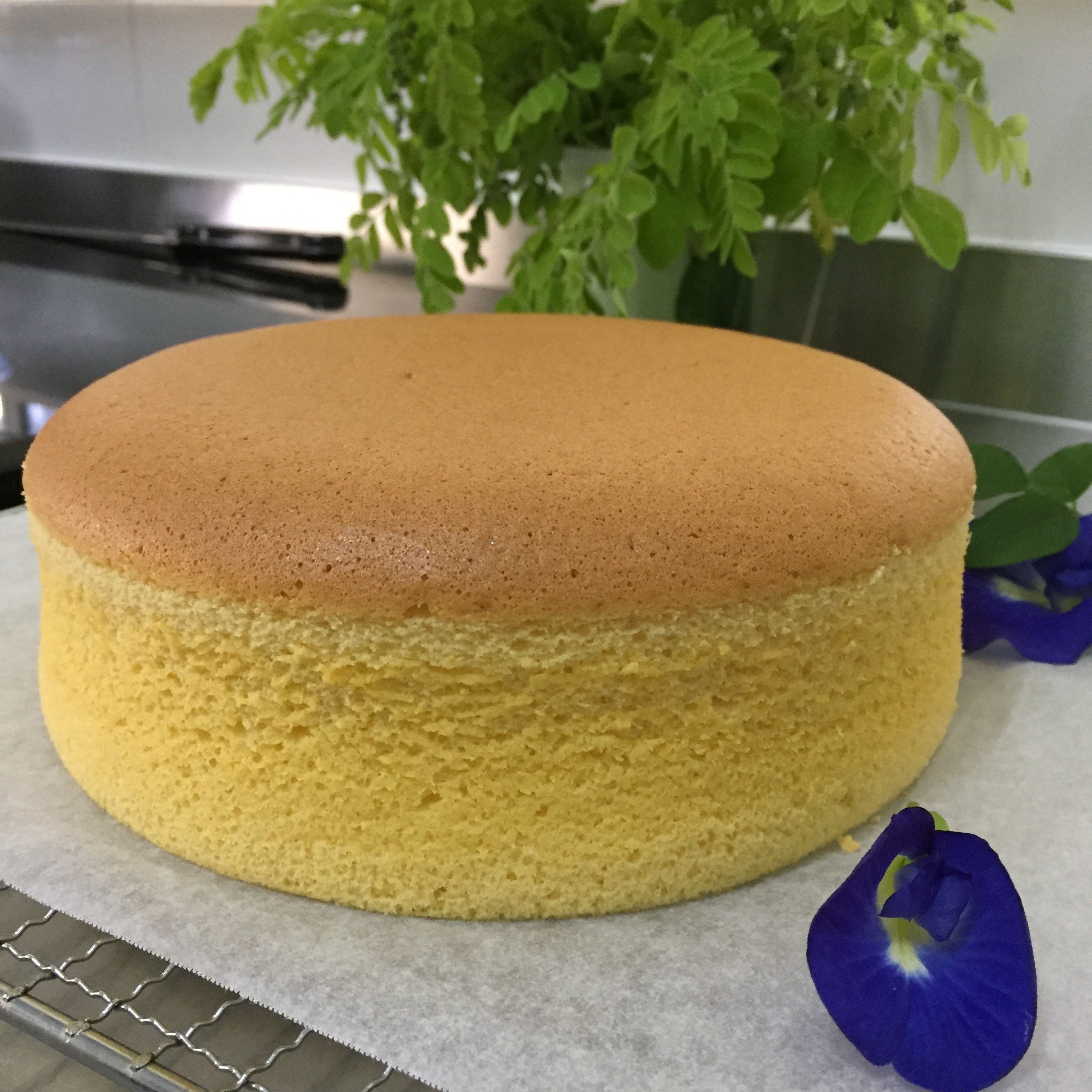 Простые рецепты теста для тортов. Спонж кейк бисквит. Шифоновый бисквит для торта. Шифоновый и классический бисквит. Ванильный шифоновый бисквит.