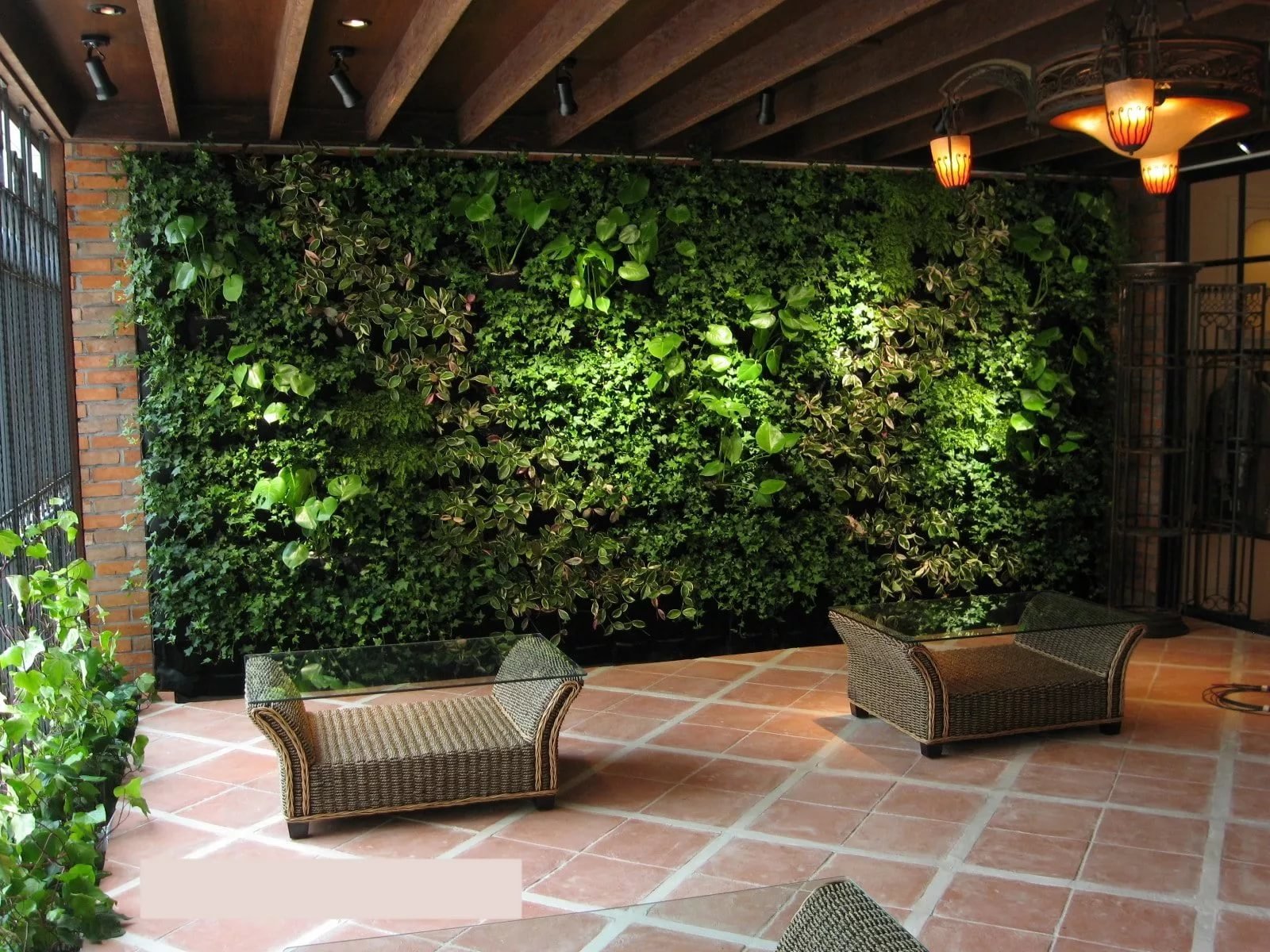 стена из живых растений в интерьере