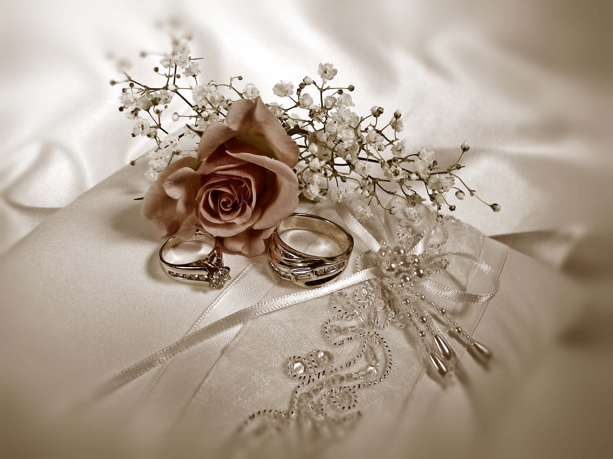 Поздравление с днем свадьбы 24. Свадебный фон. Свадебная открытка. Обручальные кольца и цветы. Свадебные кольца в цветах.