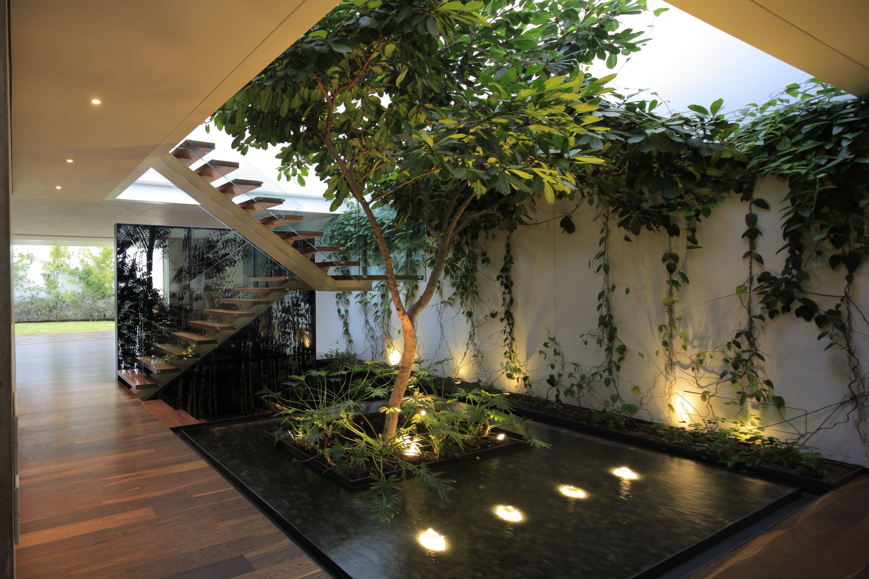 цель проекта комнатные растения в интерьере жилого дома