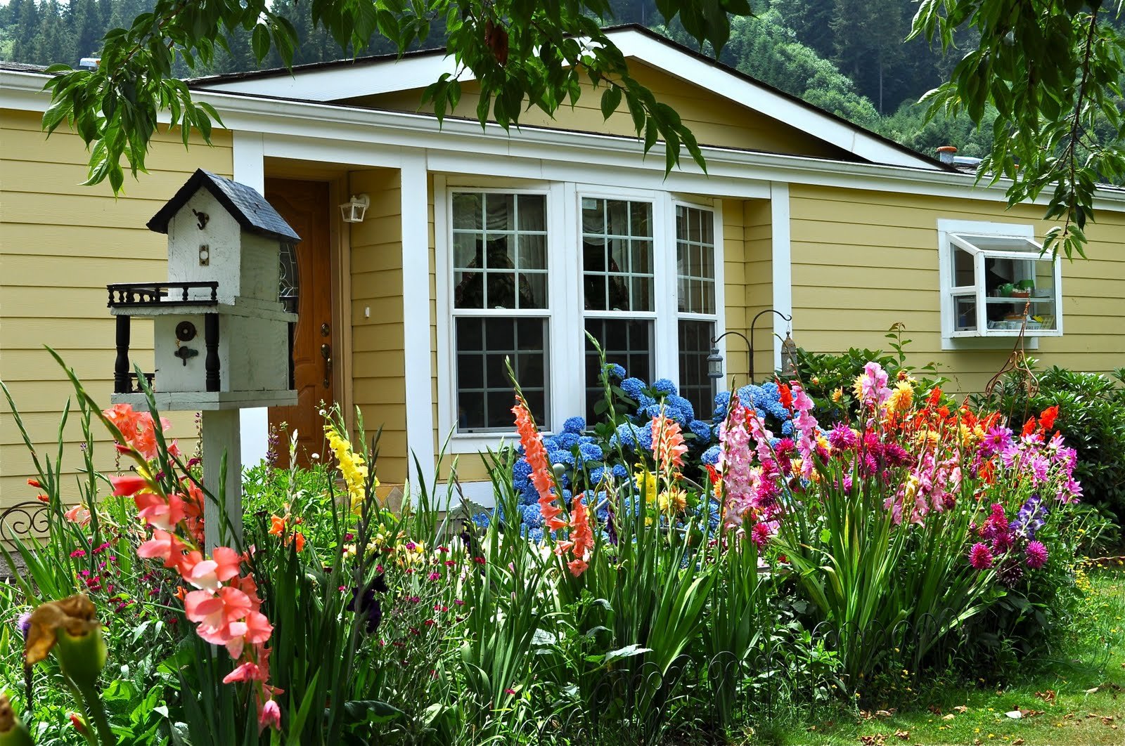 Фото цветов перед домом. Палисадник Энфилд. Сибирский палисадник. Деревня двор огород палисадник. Цветы на даче.