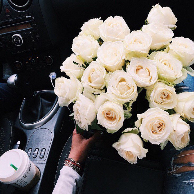 Белые розы в машине реальные фото