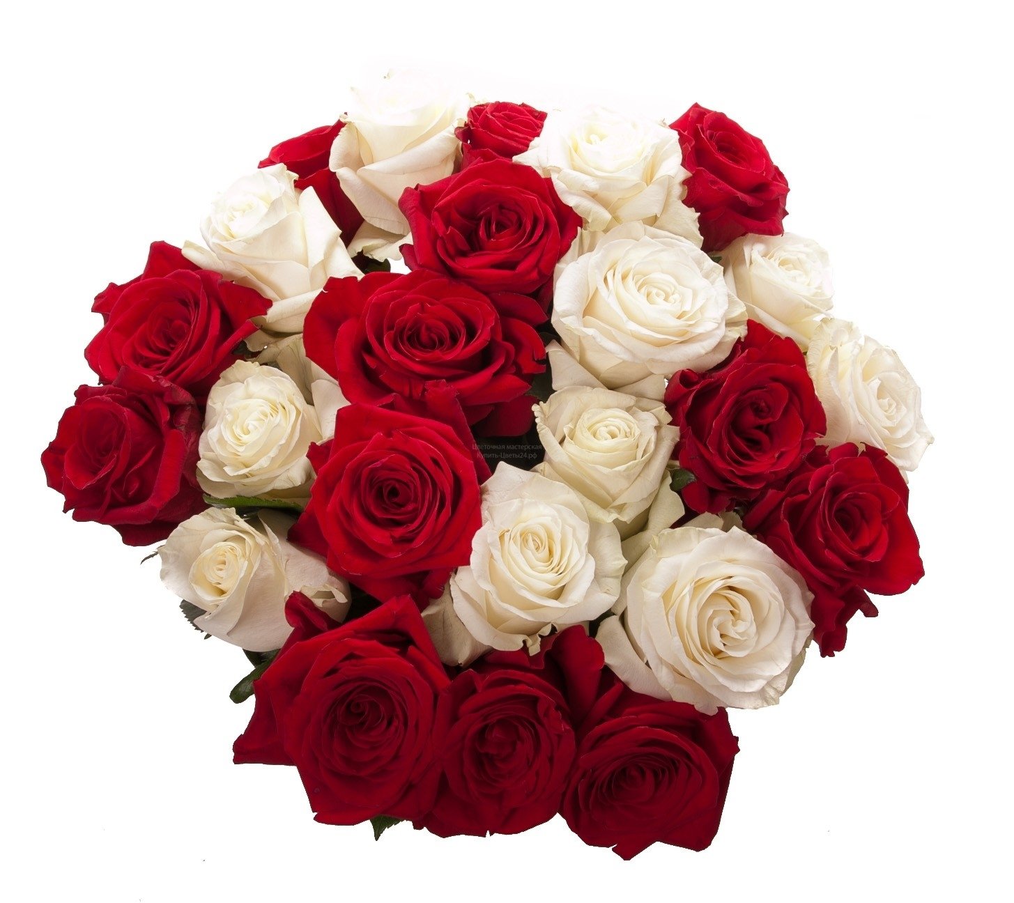 Розы бело красные название. Красивый букет роз. Шикарный букет роз. Красивые букеты из роз.