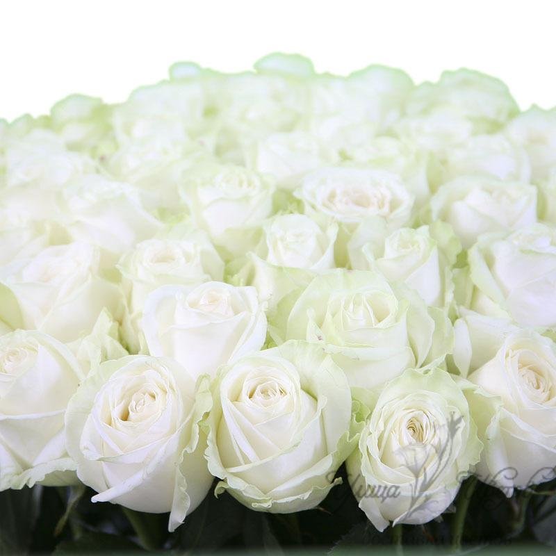 Букет из 33 белых роз фото