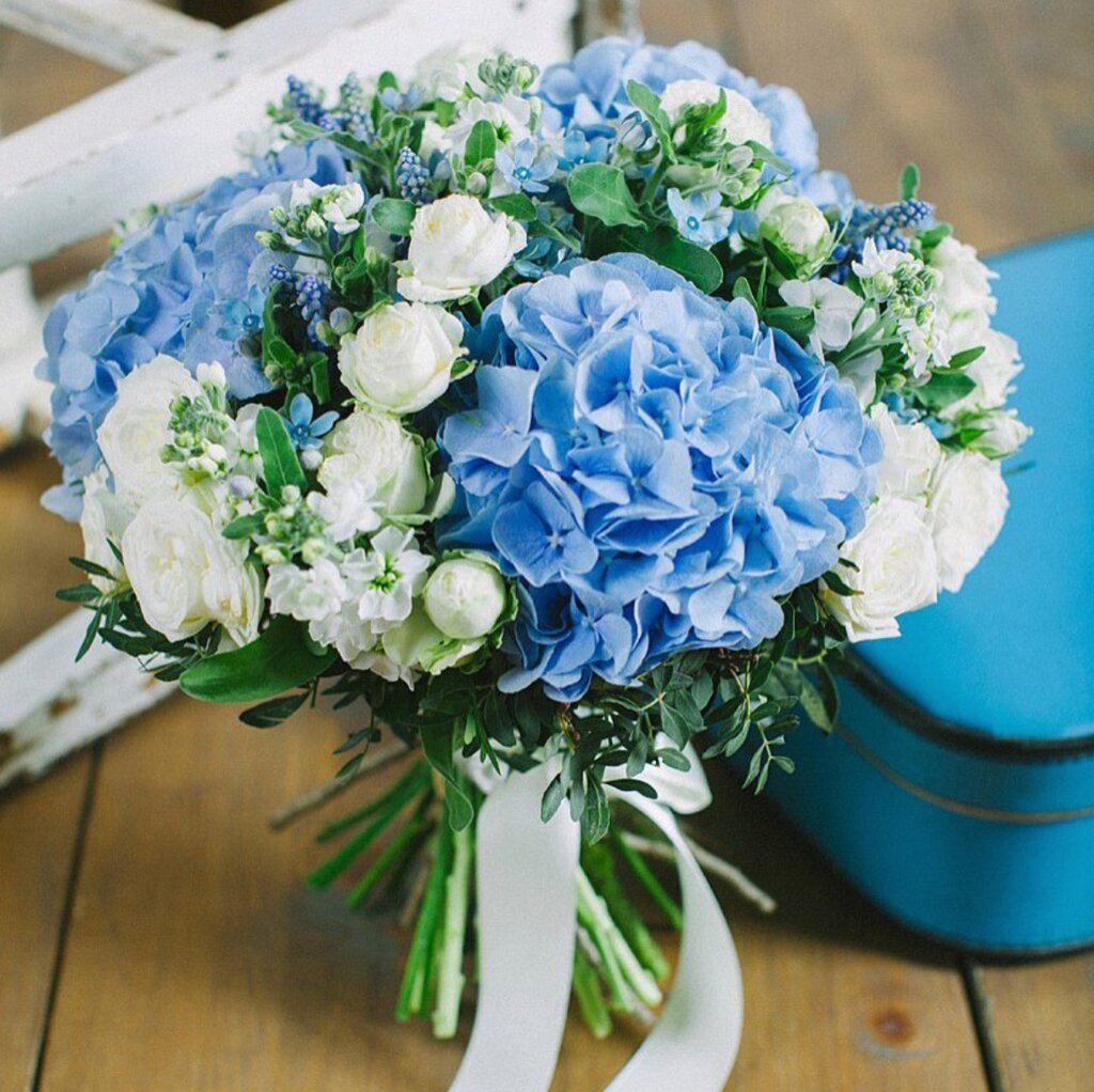 Букет в синем цвете. Букет невесты с гортензией. Синие и голубые гортензии букет. Букет с голубой гортензией.