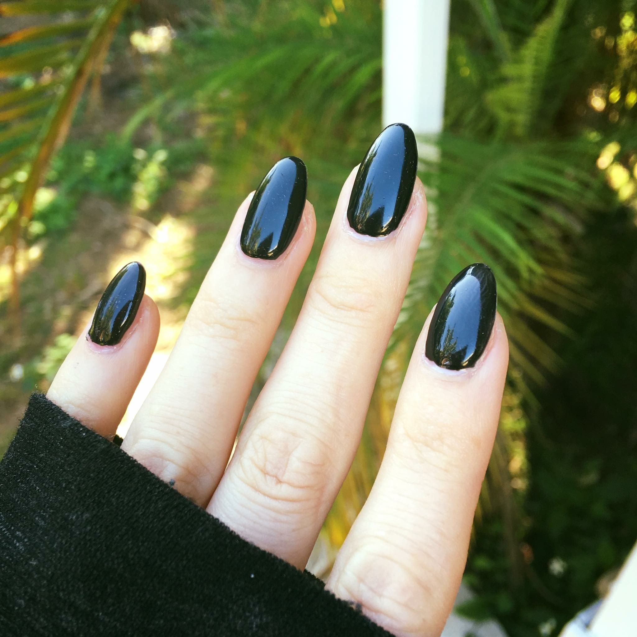 Черные миндалевидные ногти. Темный маникюр. Черные ногти. Черные овальные ногти. Ногти темные.
