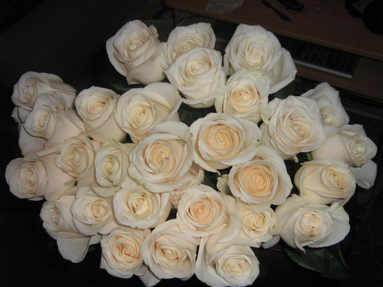 Белые розы оттенки. Букет дома. Белые розы. Букет белых роз. Букет роз дома.