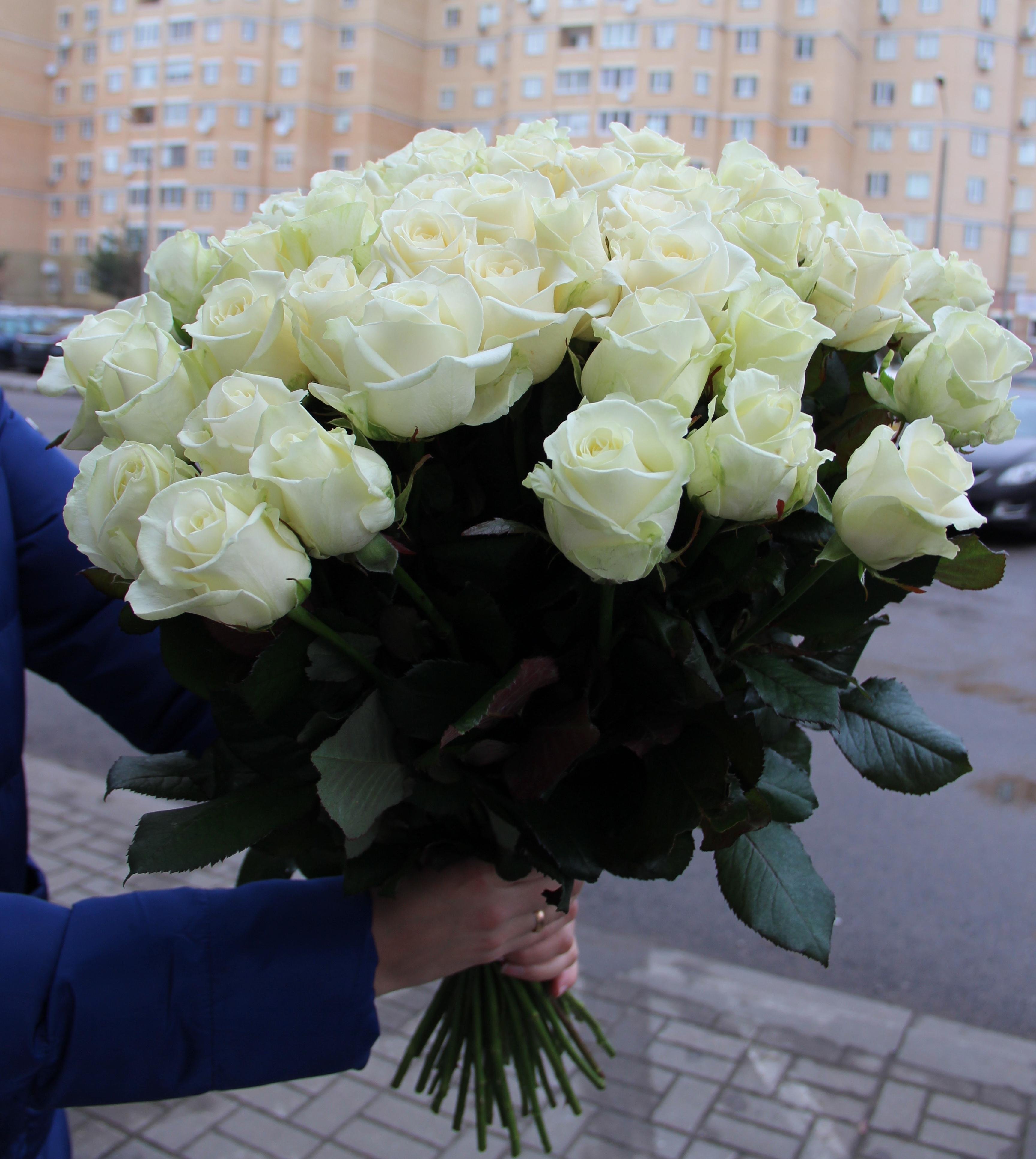 Белые розы в руках. Букет белых роз. Шикарный букет белых роз. Огромный букет белых роз. Огромные букеты из роз.
