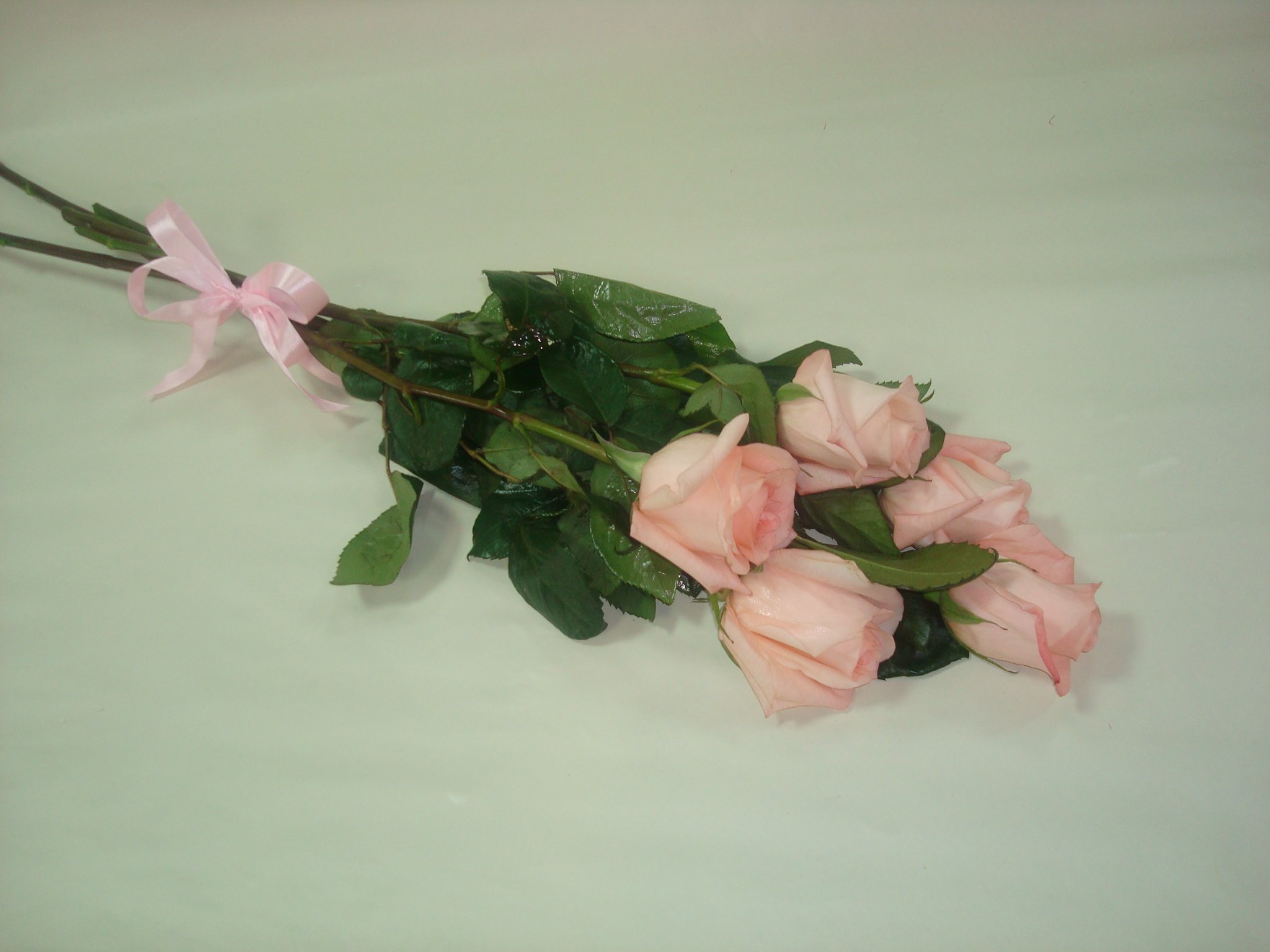 Сколько метров ленты нужно для букета роз. Букет роз небольшой. Маленький букет из роз. Букет перевязанный лентой. Розы перевязанные ленточкой.