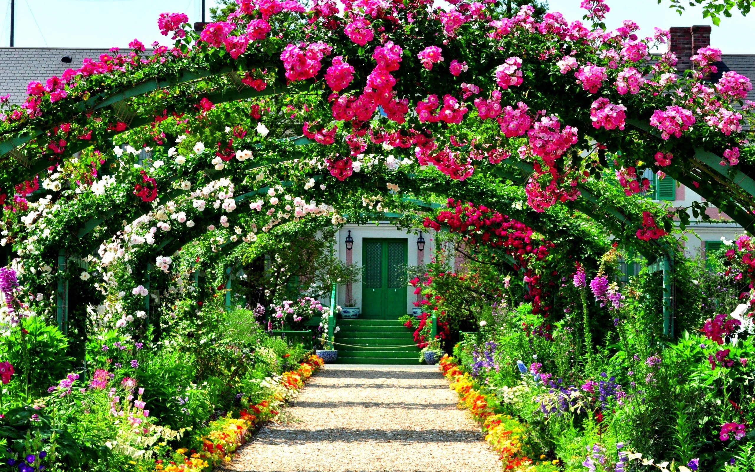 Дом с цветами розовый. Плетистые розы Берсо.