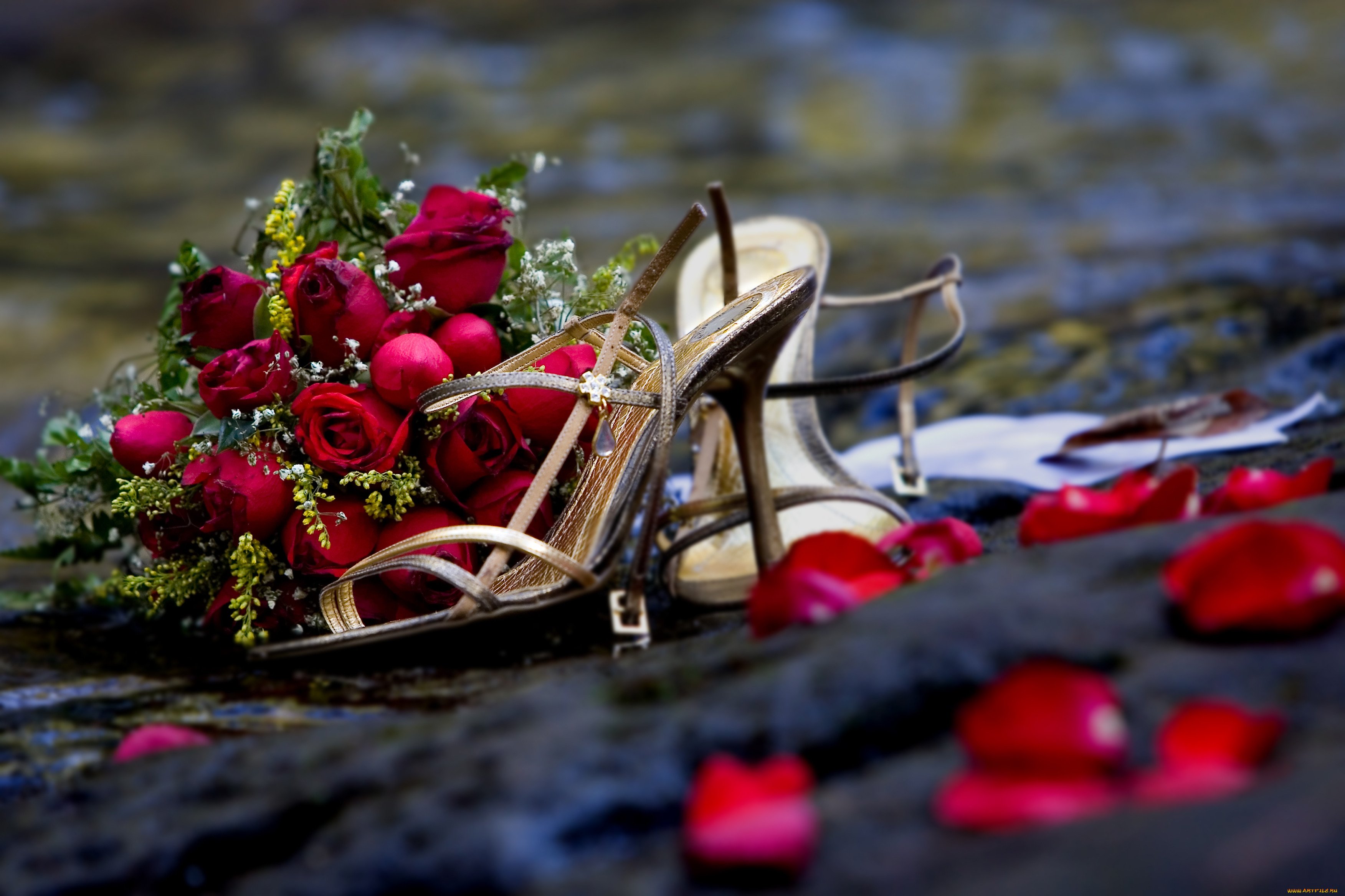 Rose romance. Романтический букет. Цветы романтика. Романтичный букет цветов. Букет цветов на скамейке.