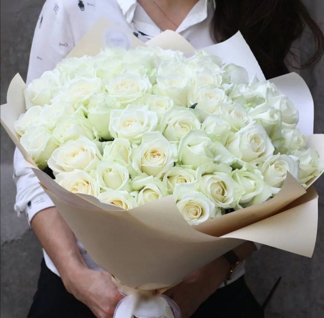 Белые розы в руках. 25 Белых роз Аваланш. Букет белых роз Аваланж.