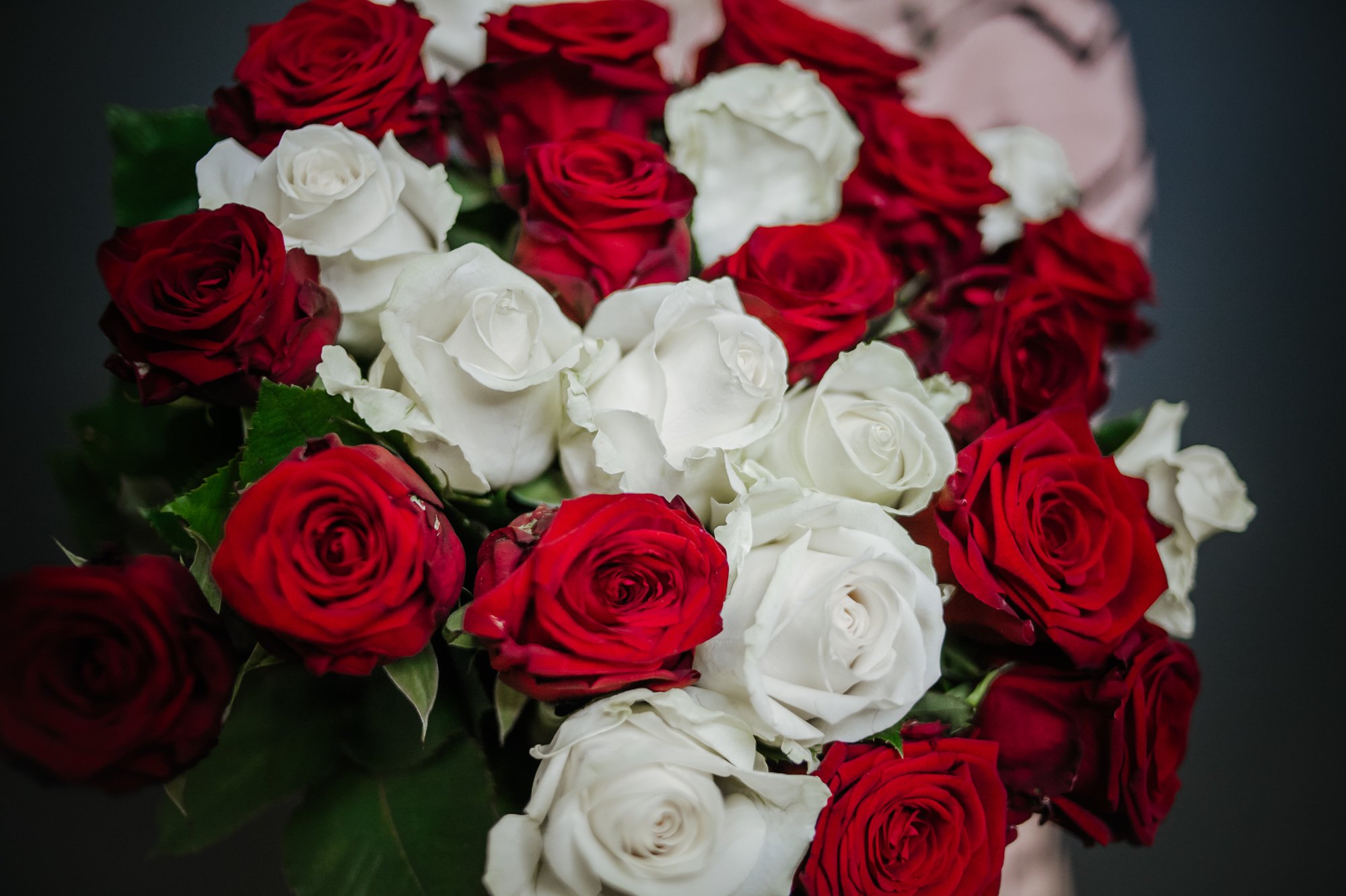 Большой букет из красных и белых роз