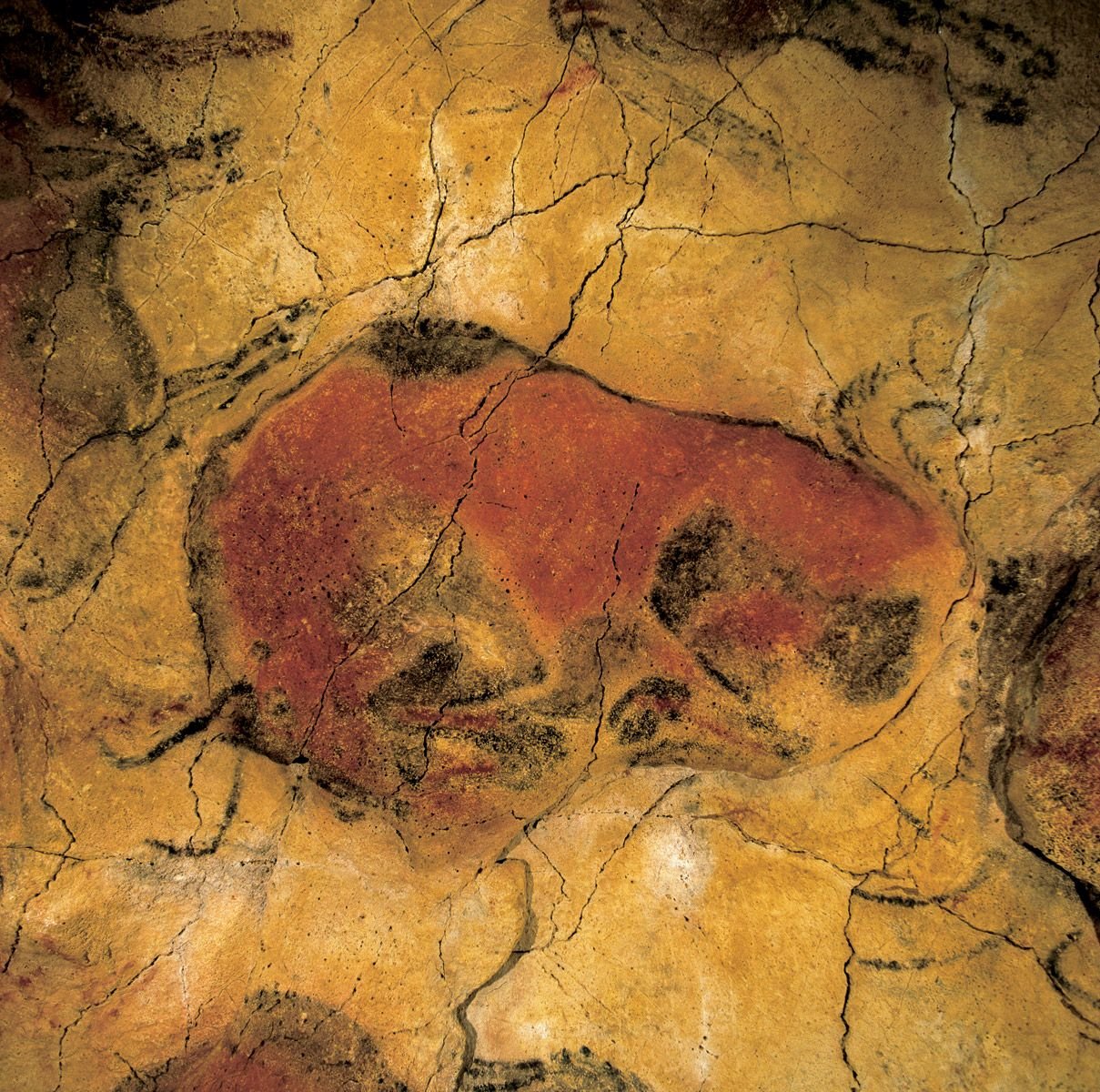 De la arte. Бизон палеолит пещера Альтамира Испания. Пещера Альтамира в Испании. Живопись пещеры Альтамира. Наскальная живопись Бизон пещера Альтамира.