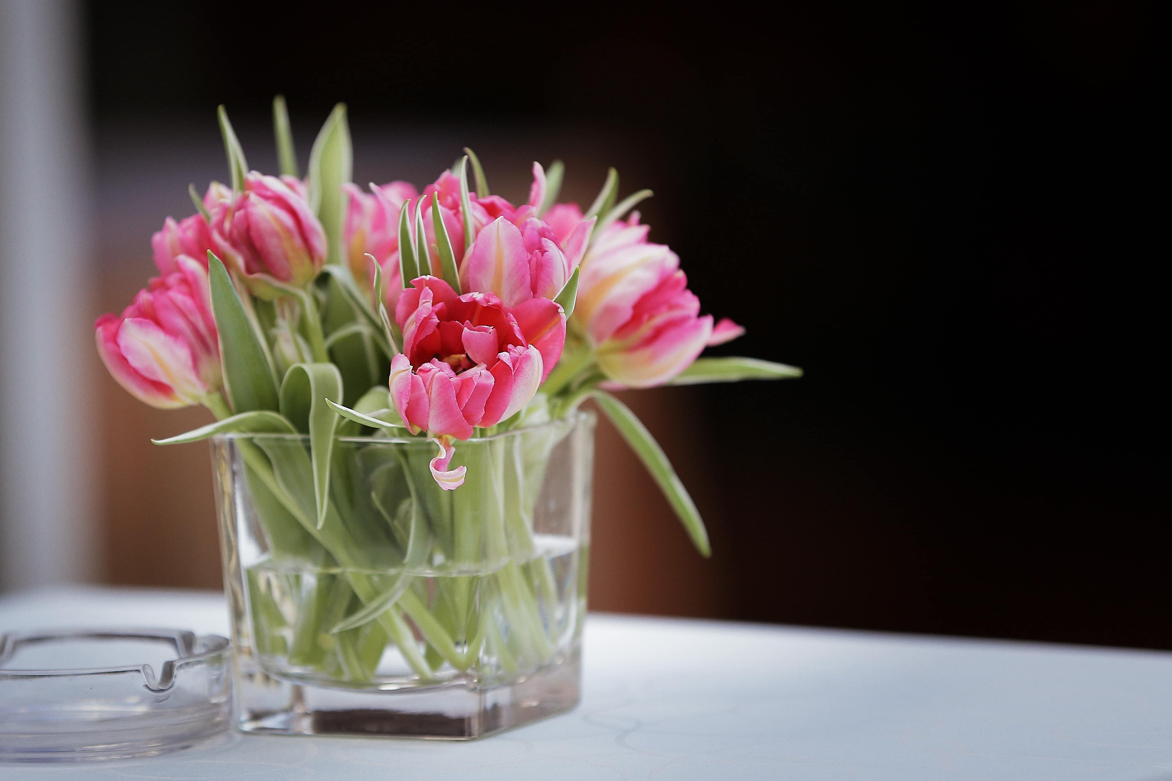 Тюльпаны в воде как сохранить букет. Тюльпаны в вазе. Тюльпаны в стеклянной вазе. Нежные тюльпаны. Ваза с тюльпанами.