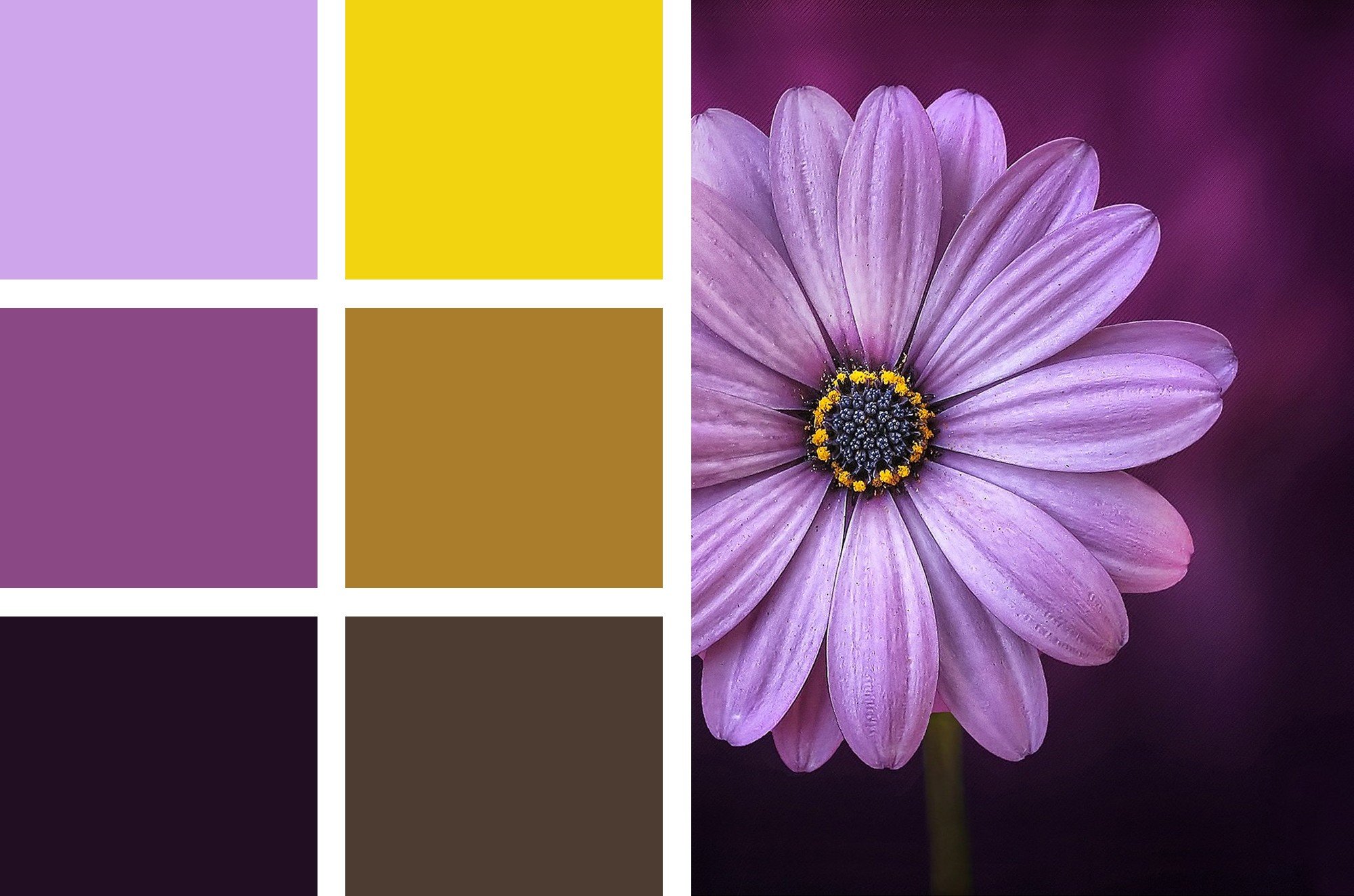 Сочетание цветов с фиолетовым