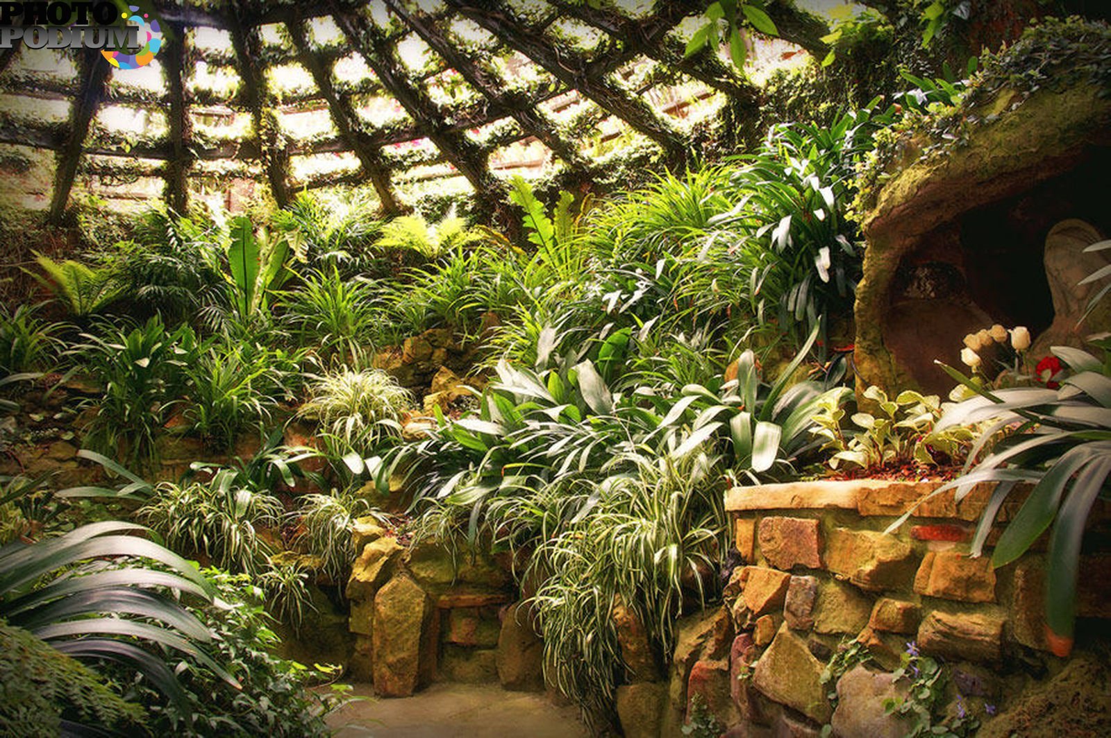 Оранжерея это по своему устройству. «Зимний сад» оранжерея Пэкстон. Субтропический зимний сад. «Зимний сад» оранжерея Пэкстон планировка. Оранжерея Ботанический зимний сад.