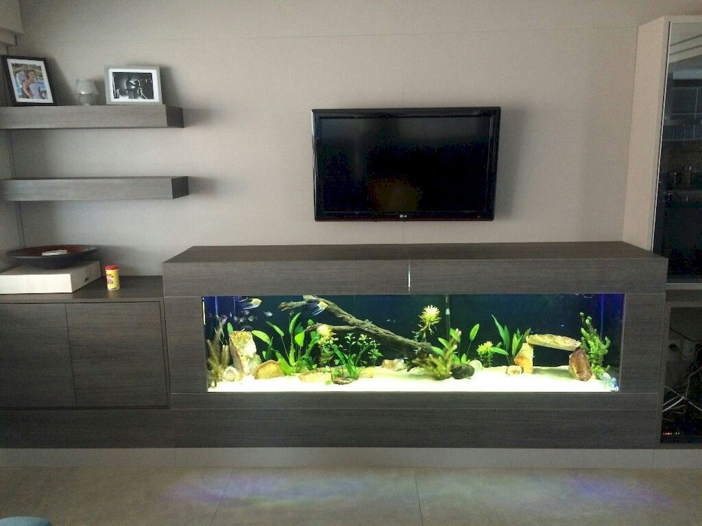 аквариум на тумбе для телевизора