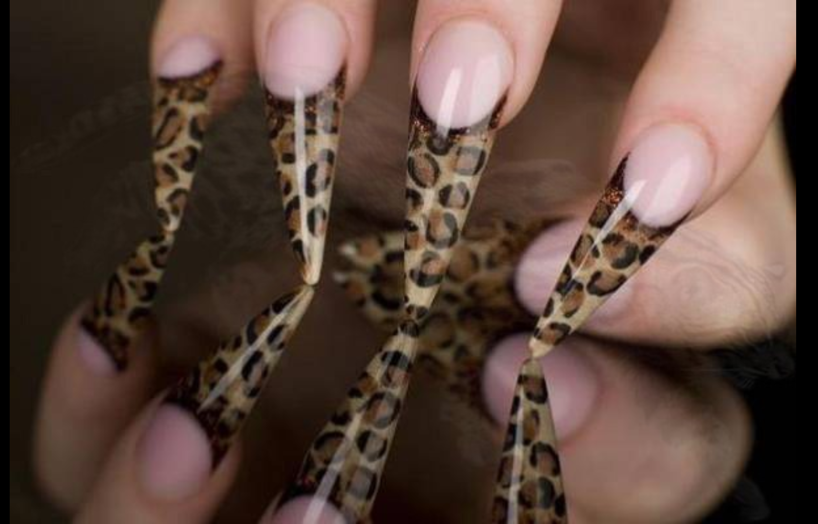 Тигровые ногти дизайн. Леопардовый френч 2023. Леопардовый френч 2021. Выкладной френч леопард. Леопардовый френч на ногтях.