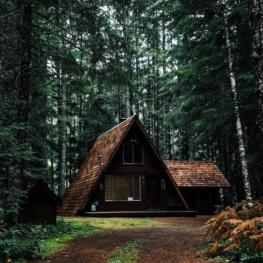 Диван домик в лесу
