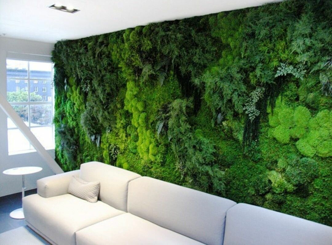 Лиана Грин вертикальное Озеленение