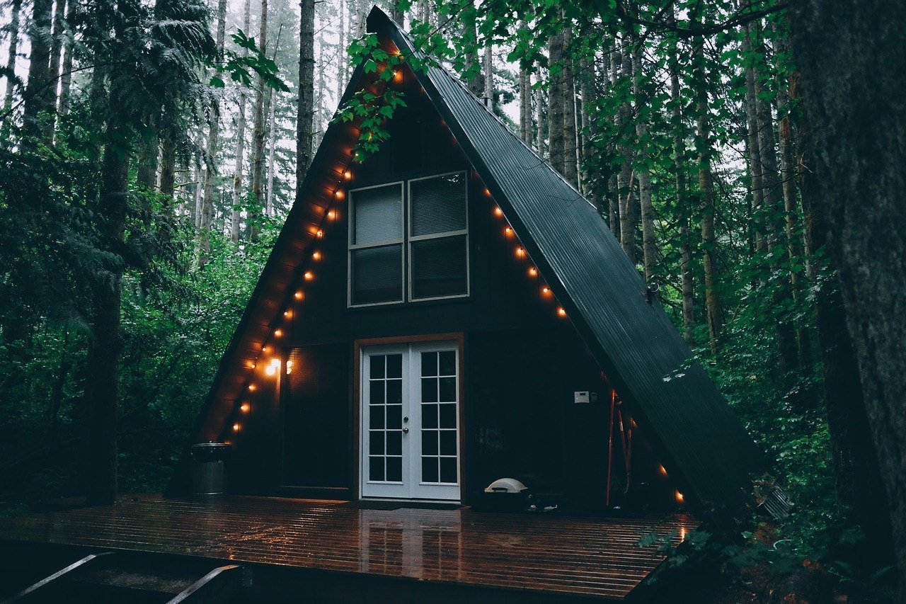 Красивый дом в лесу (55 фото) .