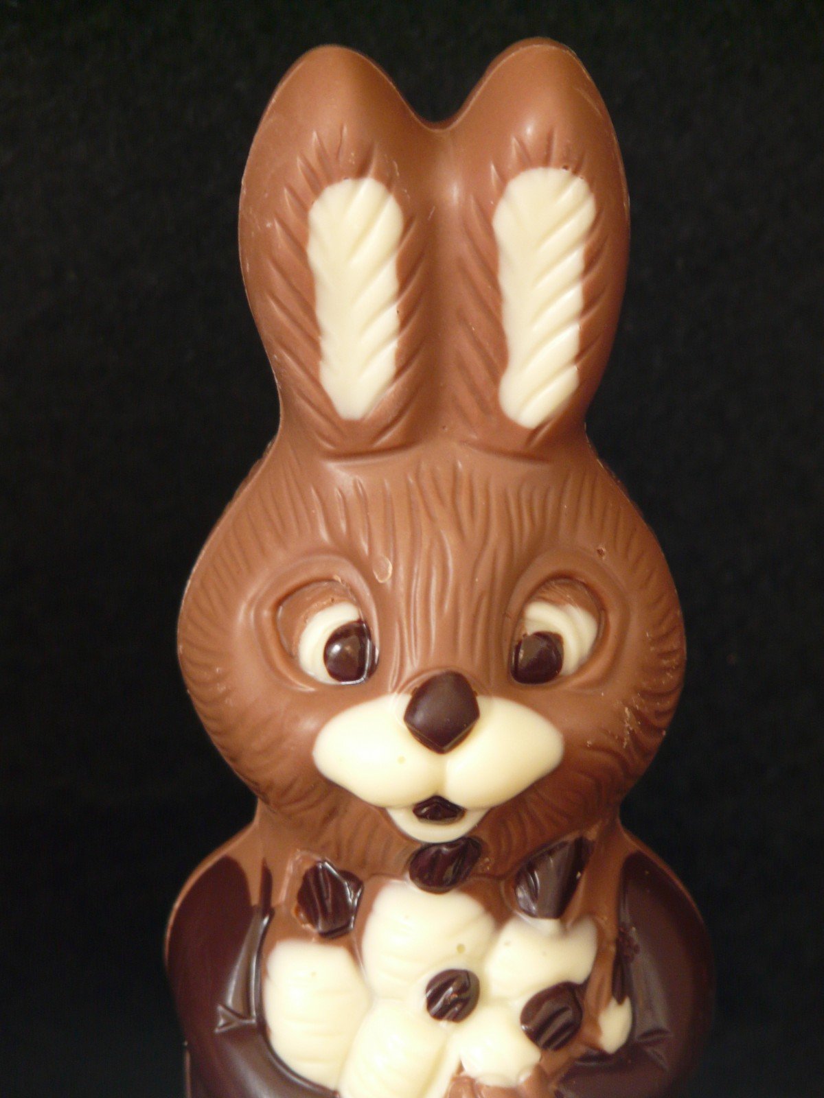Шоколадный заяц (Chocolate Bunny)