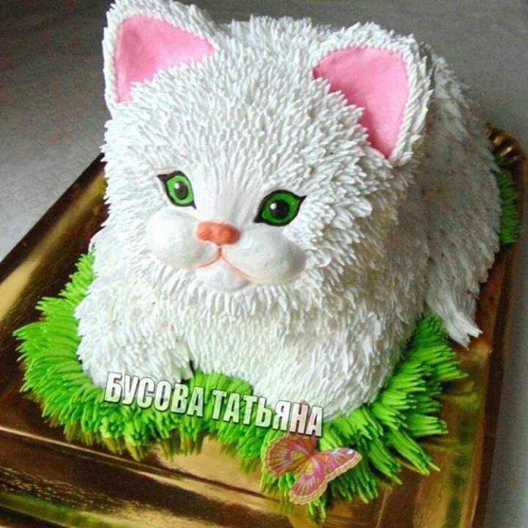 Торт С Котами Для Девочки Фото