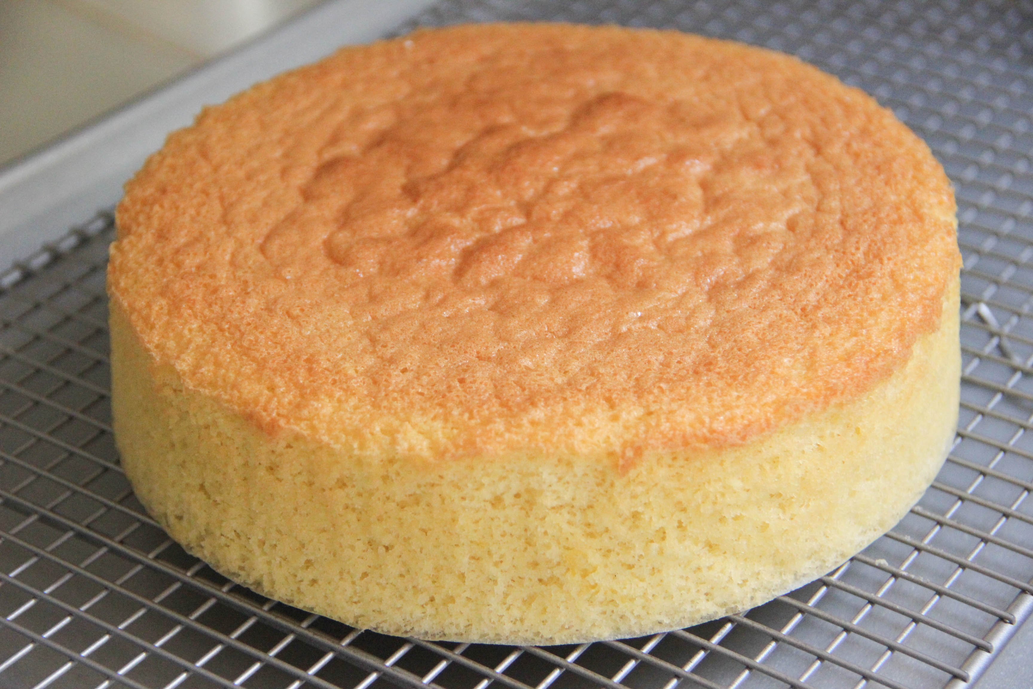 Рецепт теста для тортов в духовке. Спонж кейк бисквит. Пышкейк паровой бисквит. Бисквит для торта пышный. Домашний бисквит без яиц.