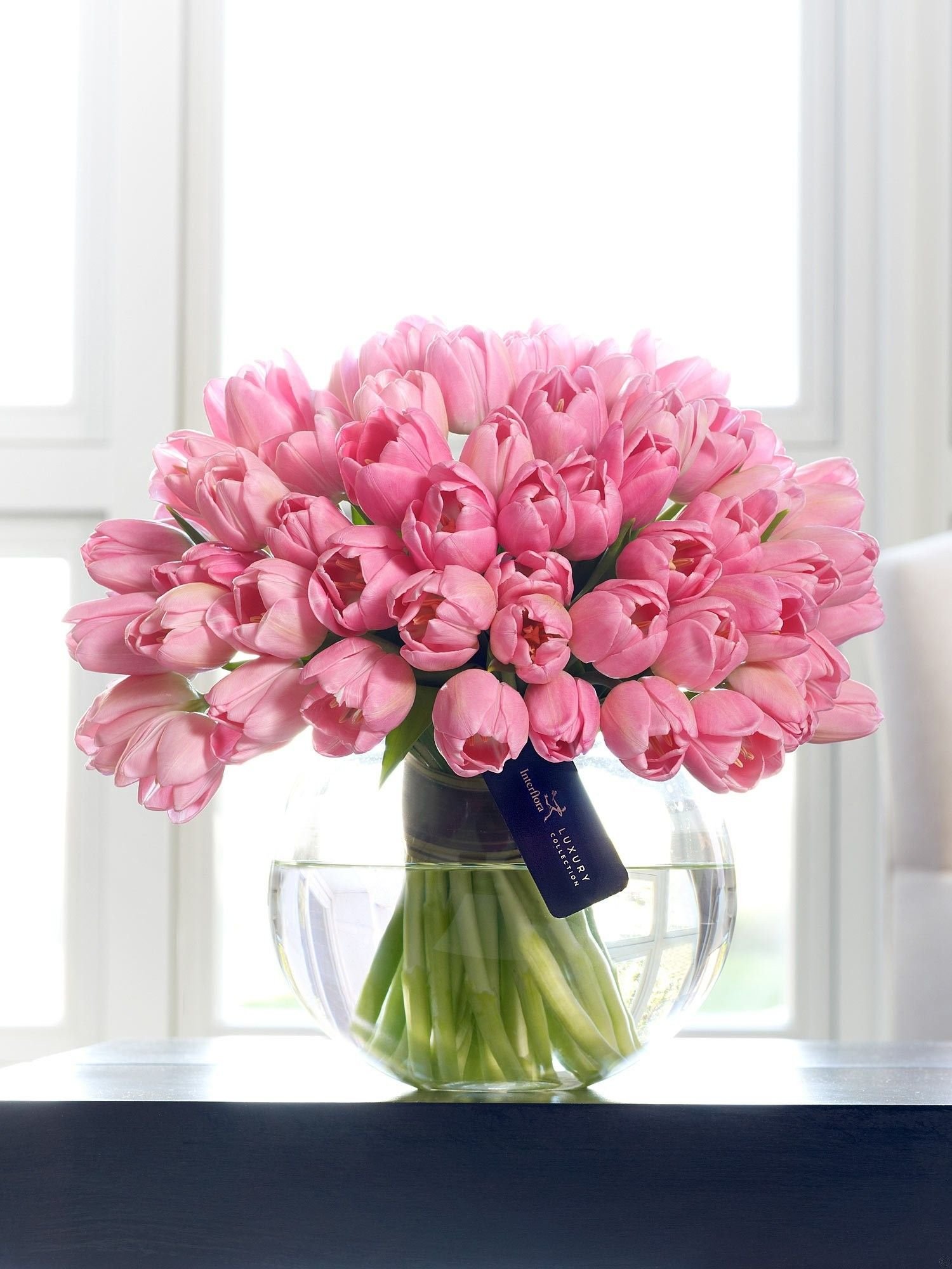 Букет розовых тюльпанов фото. Пионовидные тюльпаны. Букетище тюльпанов. Тюльпаны Пинк букеты. Красивый букет розовых тюльпанов.