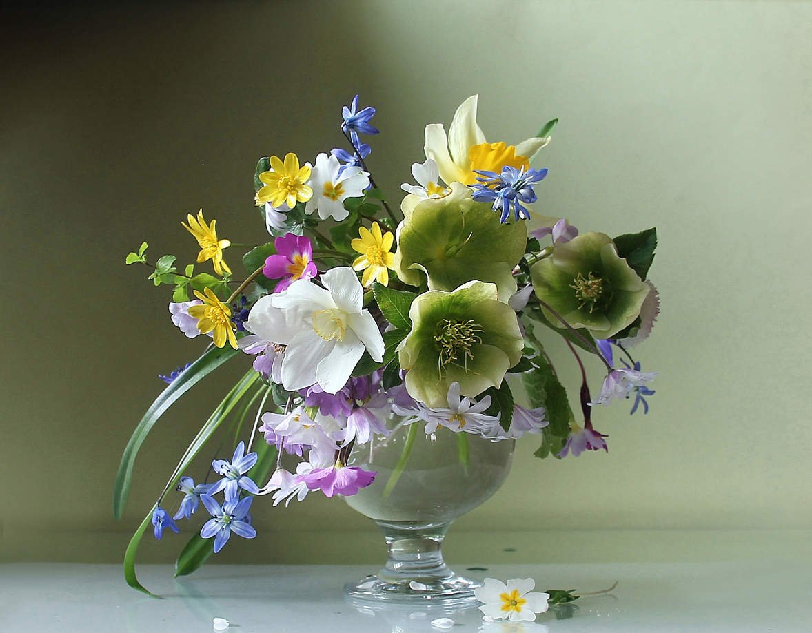 Марина Филатова Фотонатюрморты с весенними цветами