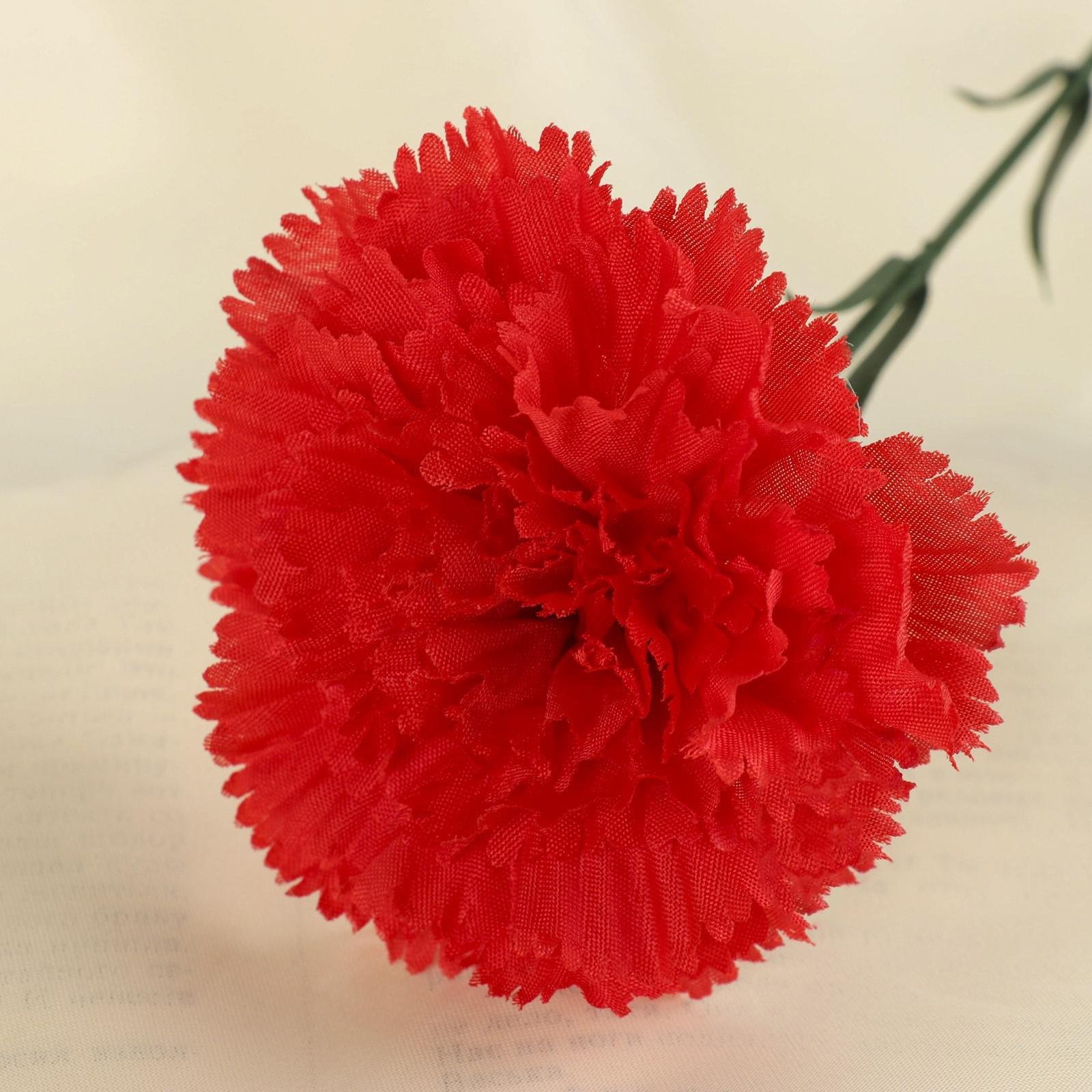 Carnation гвоздика красная