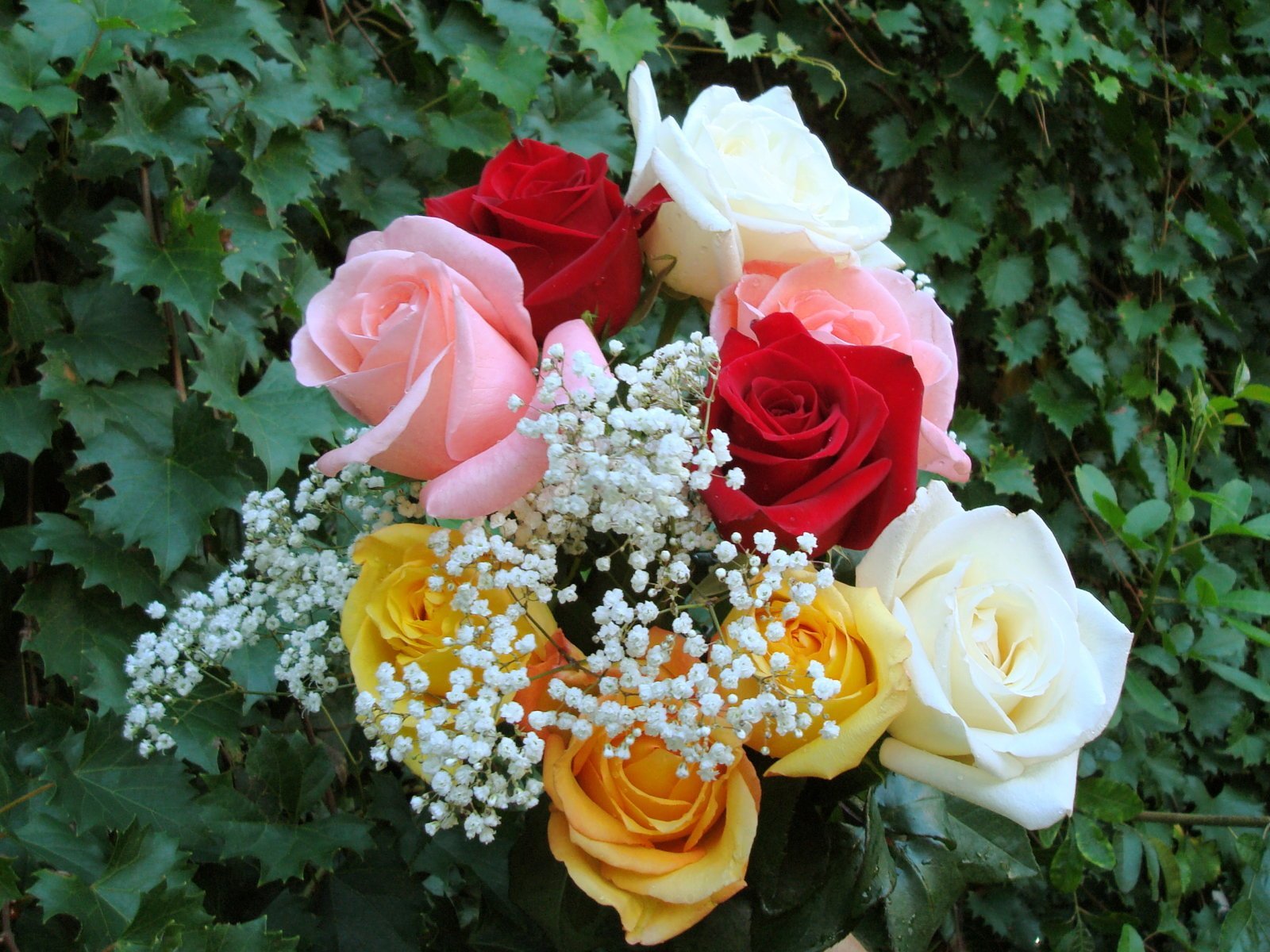 Что добавляют в букет к розам. Красивый букет цветов. Шикарные цветы. Шикарный букет цветов. Красивый букет роз.