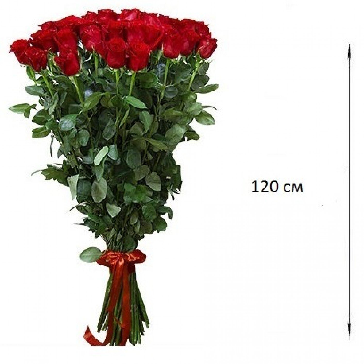 Голландские розы букет. Розы 120 см.