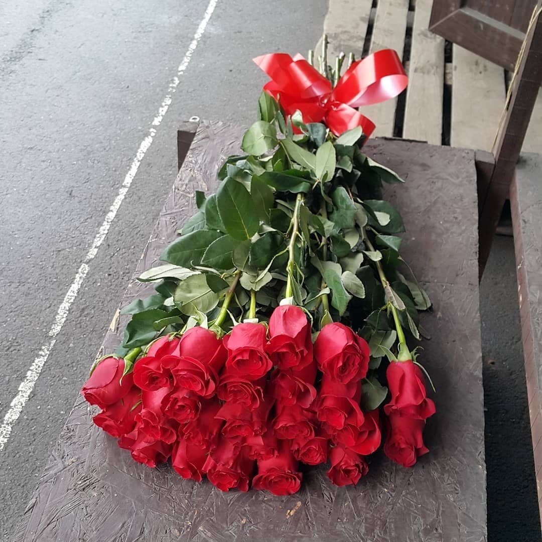 Розы нидерланды