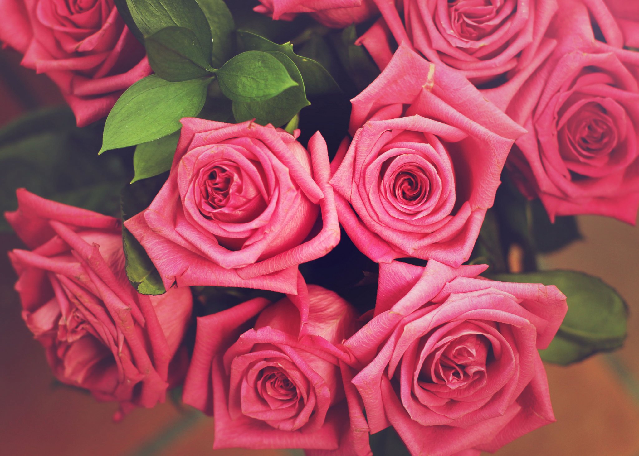 Яркие розовые розы