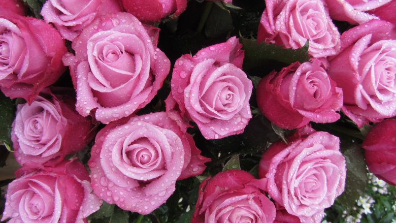 Живые цветы розовые