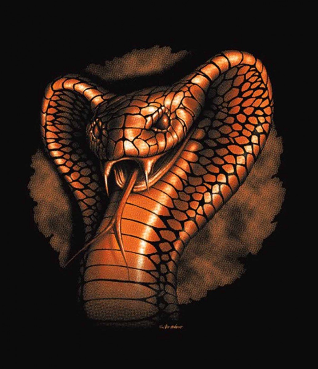 Змея Золотая Королевская Кобра