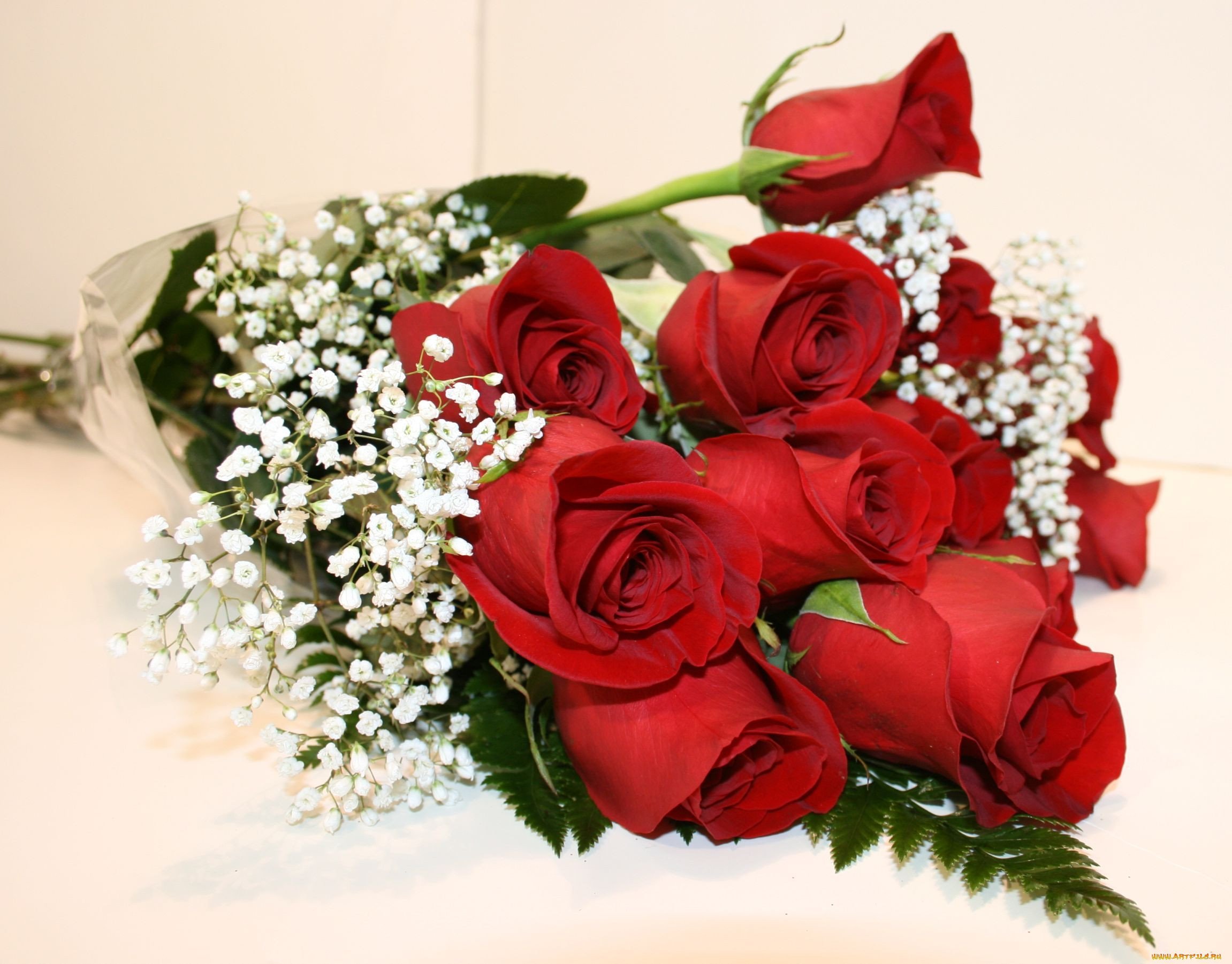 розы фото букеты красивые любимой